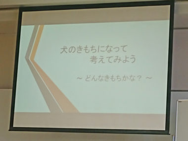 18-hina2-3 スライド写真