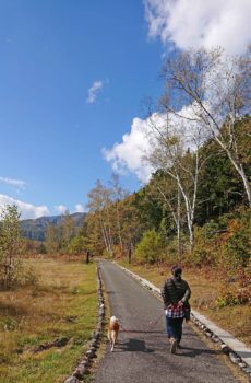 18-hina8-7 青空と紅葉の中を散歩