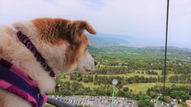 19-hina4-10 下りリフト やや耳、復活!