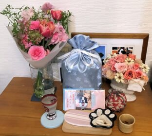 1yr1mo-23-2 レアの祭壇