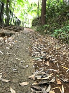 22-hina2-11 公園内の坂道