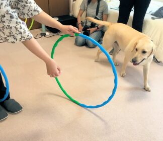 dogmind12-22-16 フラフープを警戒するラブ