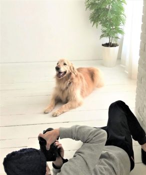 dogmind5-20-3 カメラマンとゴールデン