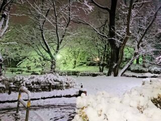 夜、雪の公園