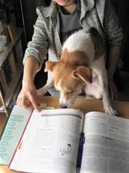 h6191 一緒に本を読むひな