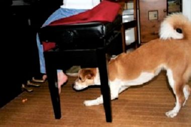 動く足を見つめるひな
