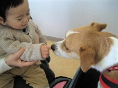 h_10021 幼児の手を確認するひな