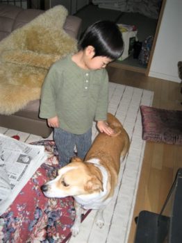 h_11001 甥っ子とひな