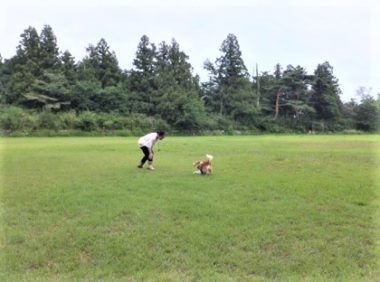 h_13059c ママさんとplay中