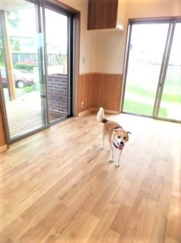 h_15033 新しい部屋を探索中