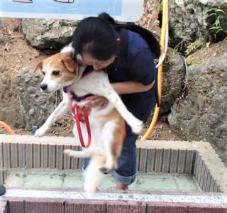 h_15040 抱っこされて緊張状態