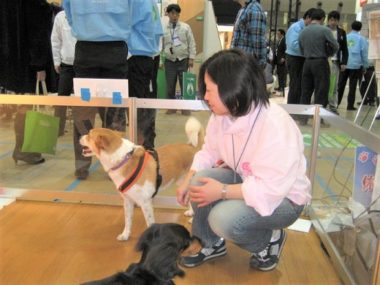 h_9031 人の多さにやや不安げなひな
