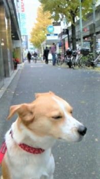 h_9152 目を細めて座るひな