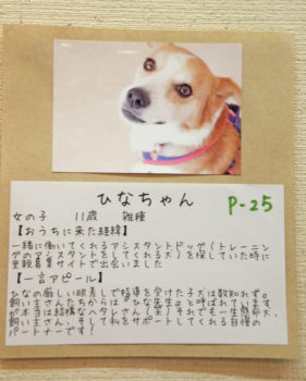 ウチの子自慢　ひなのボード