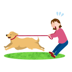 pull-icon イラスト 引っ張りの問題