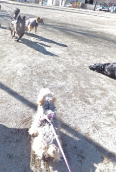 友達と再会