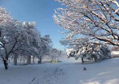 snow-18-4 真っ白になった公園