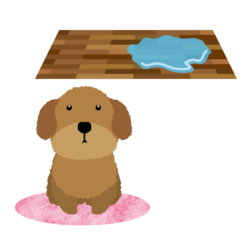 toilet-icon イラスト 粗相の問題