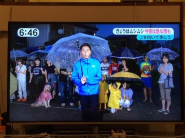 tv-17-1 TV画面に映るゴールデン