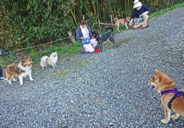 walking-les-19-3 休憩中