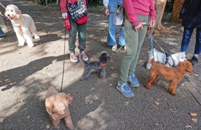 walking-les-19-7 みんな、集合