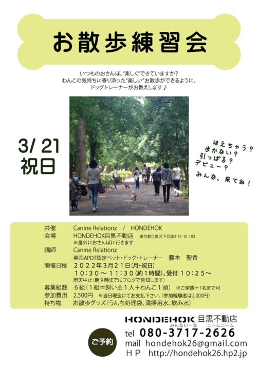 walking2-22-1 お散歩練習会チラシ