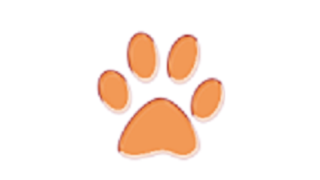 オレンジpaw