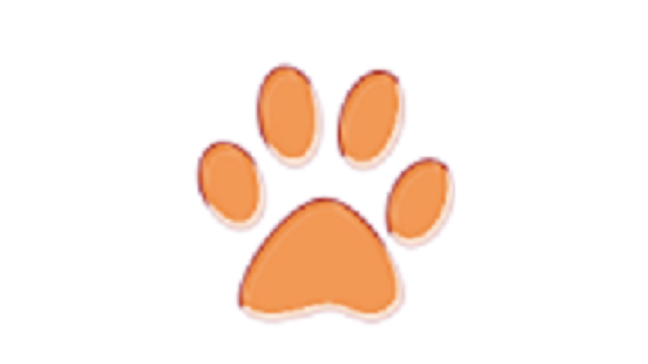 オレンジpaw