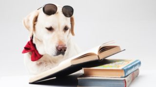 本を読むラブ
