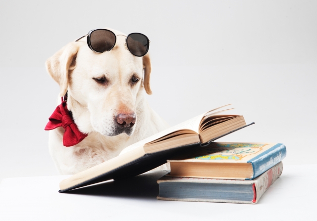 本を読むラブ