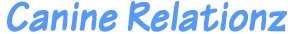 キャナインリレーションズ　青文字
