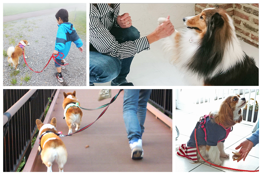 人と犬 コラージュ