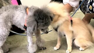 グループレッスン ♪