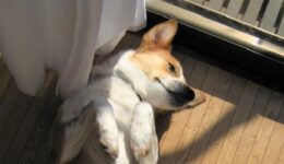 怒涛の1週間