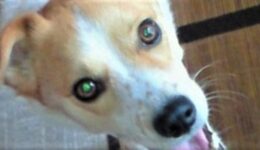 時間ですよぉ～ ⏰