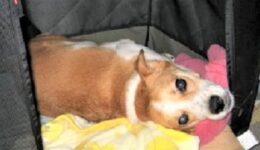 おやすみスペース 💤