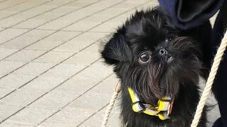 『お客様の声』を更新しました